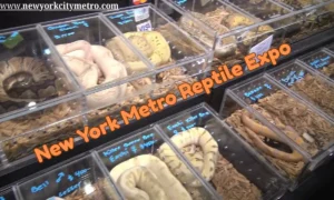 New York Metro Reptile Expo