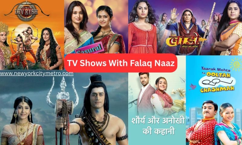 TV Shows With Falaq Naaz
