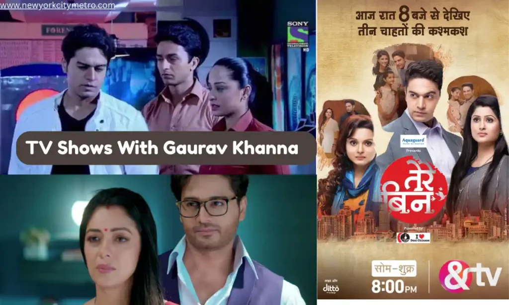TV Shows With Gaurav Khanna