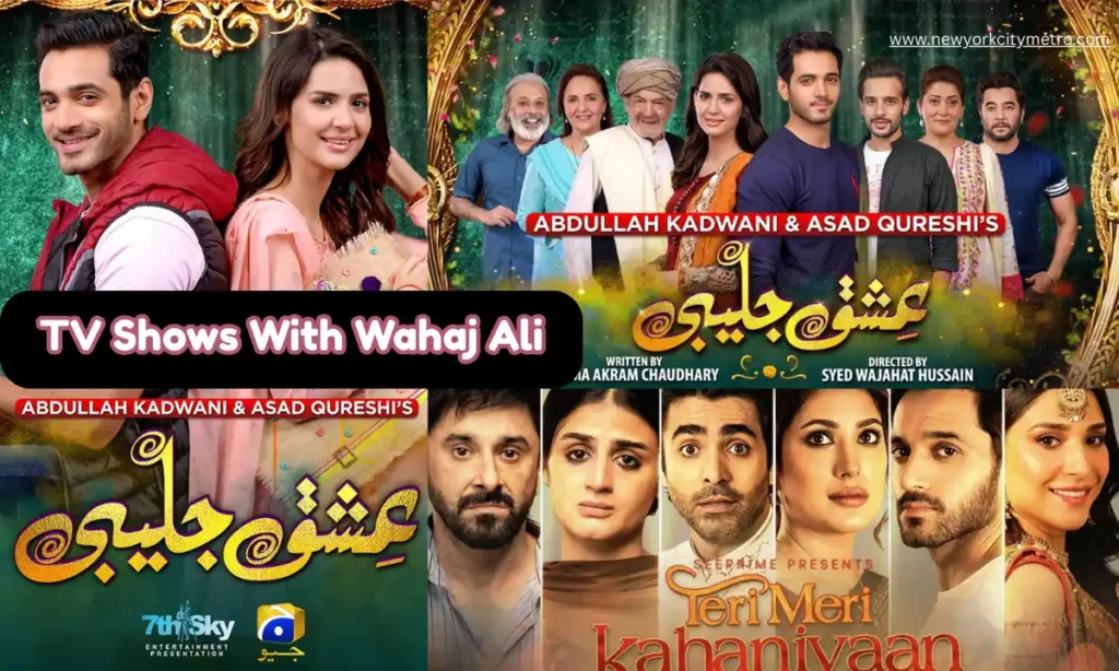 TV Shows With Wahaj Ali